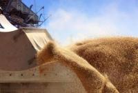 Украина отправила на экспорт уже 5,6 млн тонн зерновых