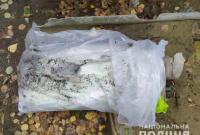 В Сумской области парень нашел два гранатомета в овраге