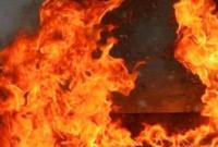 Хозяева сгорели в частном доме в Одесской области