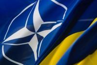 В НАТО рассказали об ожиданиях относительно реформ Украины в сфере безопасности и обороны