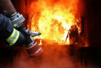 Ночью на Полтавщине возник пожар на 38 га: к тушению привлекли 119 человек