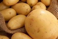 В Україну через ОРДЛО контрабандно ввезено майже 1 млн тонн насіннєвої картоплі