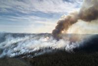 В РФ опять горит Сибирь: огнем охвачены уже 3 миллиона гектар территории