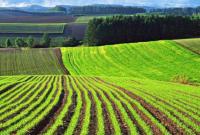 На Черкащині фермер самовільно засіяв землі вартістю 50 млн грн