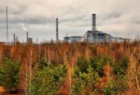 Чи можна відродити сільське господарство на Чорнобильській землі