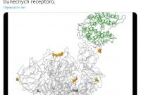 В Чехии обнаружили новую мутацию коронавируса