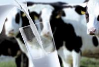 В Україні знову падає виробництво молока