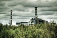 В Чернобыльской зоне создали природный заповедник