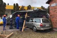 В Херсоне дерево упало на ребенка