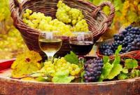 Парламентарии сделали шаг к стимулированию развития виноградарства в Украине